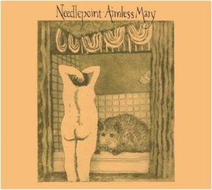 Needlepoint - Aimless Mary i gruppen CD hos Bengans Skivbutik AB (1877626)