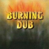 Revolutionaries - Burning Dub i gruppen VINYL hos Bengans Skivbutik AB (1878770)