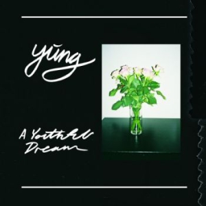 Yung - A Youthful Dream i gruppen VINYL hos Bengans Skivbutik AB (1890979)