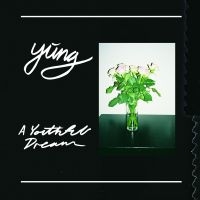 Yung - A Youthful Dream - Ltd.Ed. i gruppen VINYL hos Bengans Skivbutik AB (1914617)