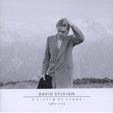 David Sylvian - A Victim Of Stars 1981-2011 (2CD) i gruppen CD hos Bengans Skivbutik AB (1921421)