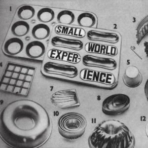 Small World Experience - Shelf-Life i gruppen VINYL hos Bengans Skivbutik AB (1925853)