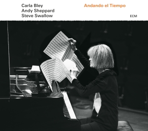 Carla Bleysteve Swallow Andy Shep - Andando El Tiempo i gruppen VINYL hos Bengans Skivbutik AB (1946632)