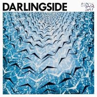 Darlingside - Birds Say i gruppen VINYL hos Bengans Skivbutik AB (1951419)