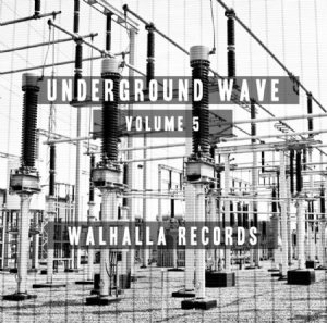 Various Artists - Underground Wave Volume 5 i gruppen VINYL hos Bengans Skivbutik AB (1951591)