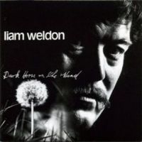 Weldon Liam - Dark Horse On The Wind i gruppen CD hos Bengans Skivbutik AB (1968722)