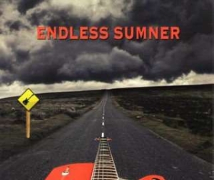 Sumner Will - Endless Summer i gruppen CD hos Bengans Skivbutik AB (1969538)