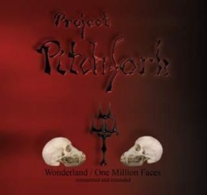 Project Pitchfork - Wonderland / One Million Faces (Rem i gruppen CD hos Bengans Skivbutik AB (1970461)