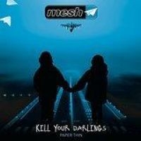 Mesh - Kill Your Darlings i gruppen VINYL hos Bengans Skivbutik AB (1974932)