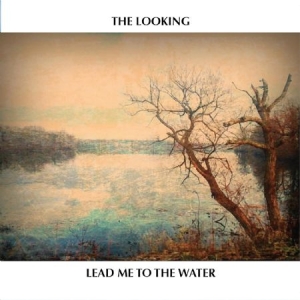 Looking - Lead Me To The Water i gruppen CD hos Bengans Skivbutik AB (1977238)