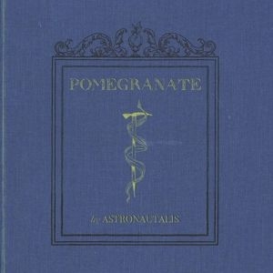 Astronautalis - Pomegranate i gruppen VINYL hos Bengans Skivbutik AB (1977271)