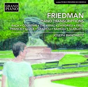 Friedman Ignaz - Piano Transcriptions i gruppen VI TIPSER / Julegavetips CD hos Bengans Skivbutik AB (2003516)