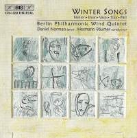 Various - Winter Songs i gruppen CD hos Bengans Skivbutik AB (2006773)