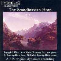 Various - Scandinavian Hn i gruppen CD hos Bengans Skivbutik AB (2007201)