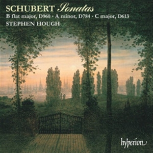 Schubert Franz - Piano Sonatas D 960, 784 & 613 i gruppen CD hos Bengans Skivbutik AB (2007806)