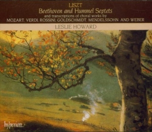 Liszt Franz - Complete Piano Works 24 /Septe i gruppen CD hos Bengans Skivbutik AB (2007849)