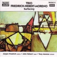 Trio Friedrich-Hebert-Moreno - Surfacing i gruppen CD hos Bengans Skivbutik AB (2010033)