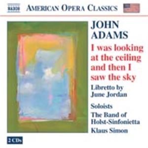 Adams John - I Was Lookin At The Ceiling i gruppen CD hos Bengans Skivbutik AB (2010259)