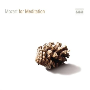 Mozart Wolfgang Amadeus - Mozart For Meditation i gruppen CD hos Bengans Skivbutik AB (2010458)