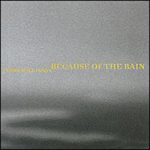 Wilkinson James - Because Of The Rain i gruppen CD hos Bengans Skivbutik AB (2010552)