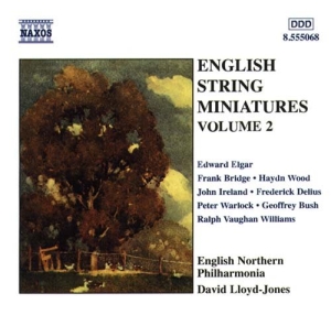 Various - Eng String Miniatures 2 i gruppen CD hos Bengans Skivbutik AB (2010786)