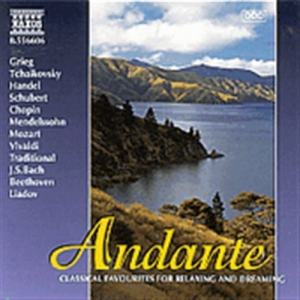 Various - Andante i gruppen CD hos Bengans Skivbutik AB (2010832)