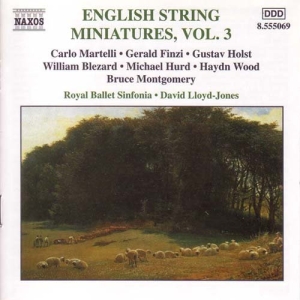 Various - Eng String Miniatures 3 i gruppen CD hos Bengans Skivbutik AB (2010844)