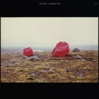 Tibbetts Steve - Exploded View i gruppen CD hos Bengans Skivbutik AB (2012836)