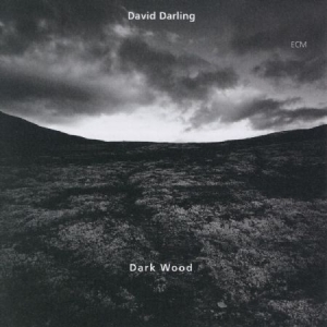 Darling David - Dark Wood i gruppen CD hos Bengans Skivbutik AB (2012861)