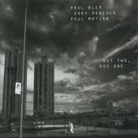 Bley Paul - Not Two, Not One i gruppen CD hos Bengans Skivbutik AB (2012886)