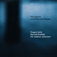 Seim Trygve - The Source And Different Cikadas i gruppen CD hos Bengans Skivbutik AB (2012907)