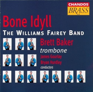 Various - Bone Idyll/Williams Fairey i gruppen CD hos Bengans Skivbutik AB (2013059)