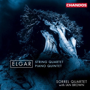 Elgar - String Quartet And Piano Quint i gruppen CD hos Bengans Skivbutik AB (2013368)