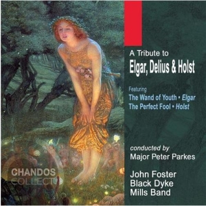 Various - Tribute To Elgar / Delius / Ho i gruppen VI TIPSER / Julegavetips CD hos Bengans Skivbutik AB (2013791)