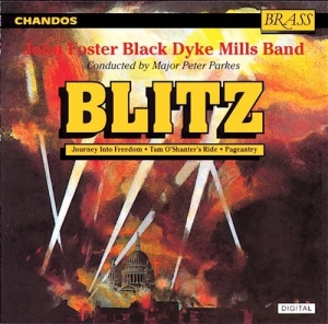 Various - Blitz i gruppen CD hos Bengans Skivbutik AB (2013792)