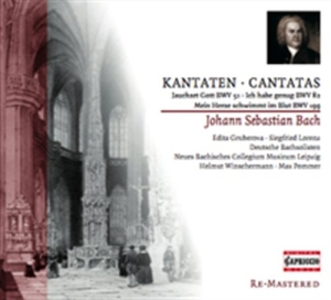 Bach - Cantatas i gruppen CD hos Bengans Skivbutik AB (2014215)