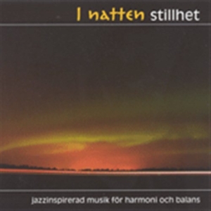 Various - I Natten Stillhet - 1Cd i gruppen CD hos Bengans Skivbutik AB (2014669)