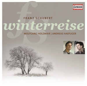 Schubert - Winterreise i gruppen CD hos Bengans Skivbutik AB (2015944)