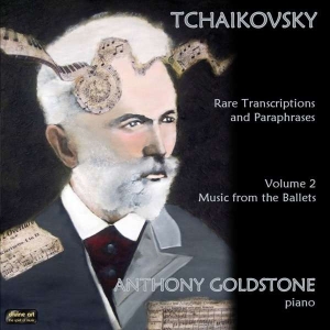 Tchaikovsky Peter - Rare Transcriptions i gruppen CD hos Bengans Skivbutik AB (2016661)