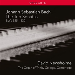 Bach J. S. - The Trio Sonatas i gruppen CD hos Bengans Skivbutik AB (2017236)