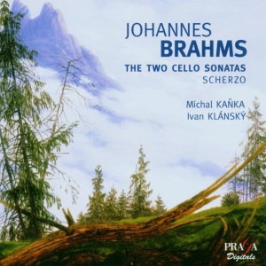 Gary Hoffman - Brahms: Cello Sonatas i gruppen CD hos Bengans Skivbutik AB (2034235)