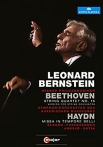 Bernstein - Conducts Beethoven / Haydn i gruppen DVD & BLU-RAY hos Bengans Skivbutik AB (2035476)