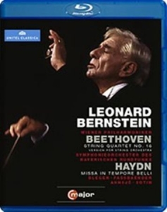 Bernstein - Conducts Beethoven / Haydn (Blu-Ray i gruppen Musikk / Musikkk Blu-Ray / Klassisk hos Bengans Skivbutik AB (2035477)