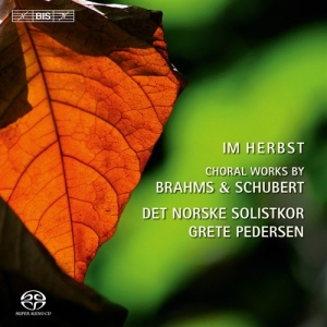 Brahms / Schubert - Im Herbst i gruppen Musikk / SACD / Klassisk hos Bengans Skivbutik AB (2035875)