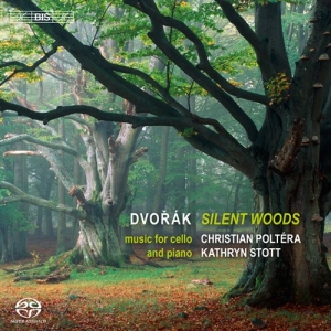 Dvorak - Silent Woods (Sacd) i gruppen Musikk / SACD / Klassisk hos Bengans Skivbutik AB (2036110)