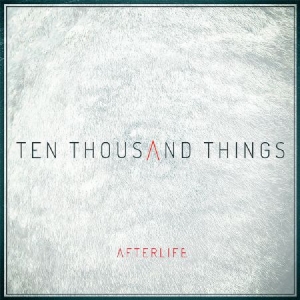 Afterlife - Ten Thousand Things i gruppen CD hos Bengans Skivbutik AB (2040084)