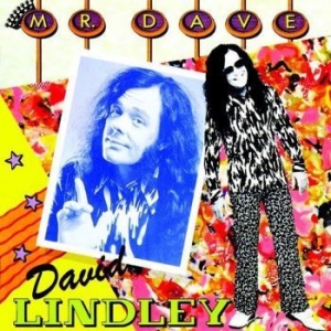 Lindley Dave - Mr. Dave i gruppen CD hos Bengans Skivbutik AB (2060670)