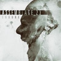 Assemblage 23 - Endure Limited Edition Lp i gruppen VINYL hos Bengans Skivbutik AB (2060755)