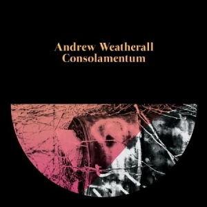 Weatherall Andrew - Consolamentum i gruppen CD hos Bengans Skivbutik AB (2060763)