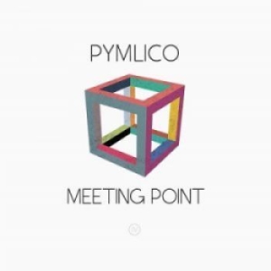 Pymlico - Meeting Point i gruppen CD hos Bengans Skivbutik AB (2061061)